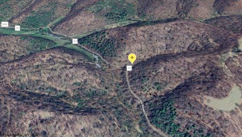 10 Little Rowels Run Road Creston WV 26141