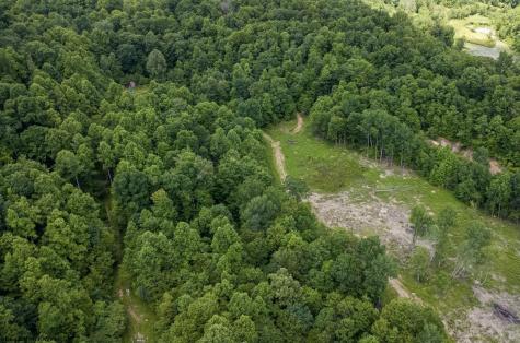 15 Lake Island Drive Belington WV 26250