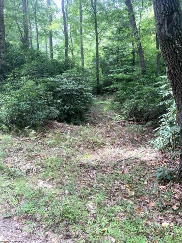 3311 Hanging Run Road Belington WV 26250