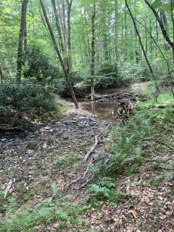3311 Hanging Run Road Belington WV 26250