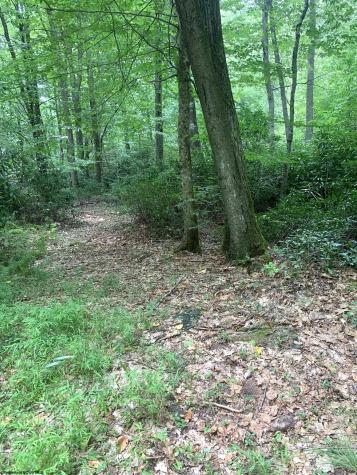 3311 Hanging Run Road Belington WV 26250