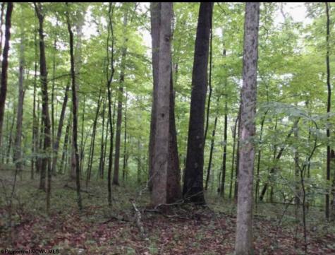 0 Merrill Street Belington WV 26250
