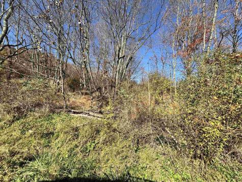 0 Merrill Street Belington WV 26250