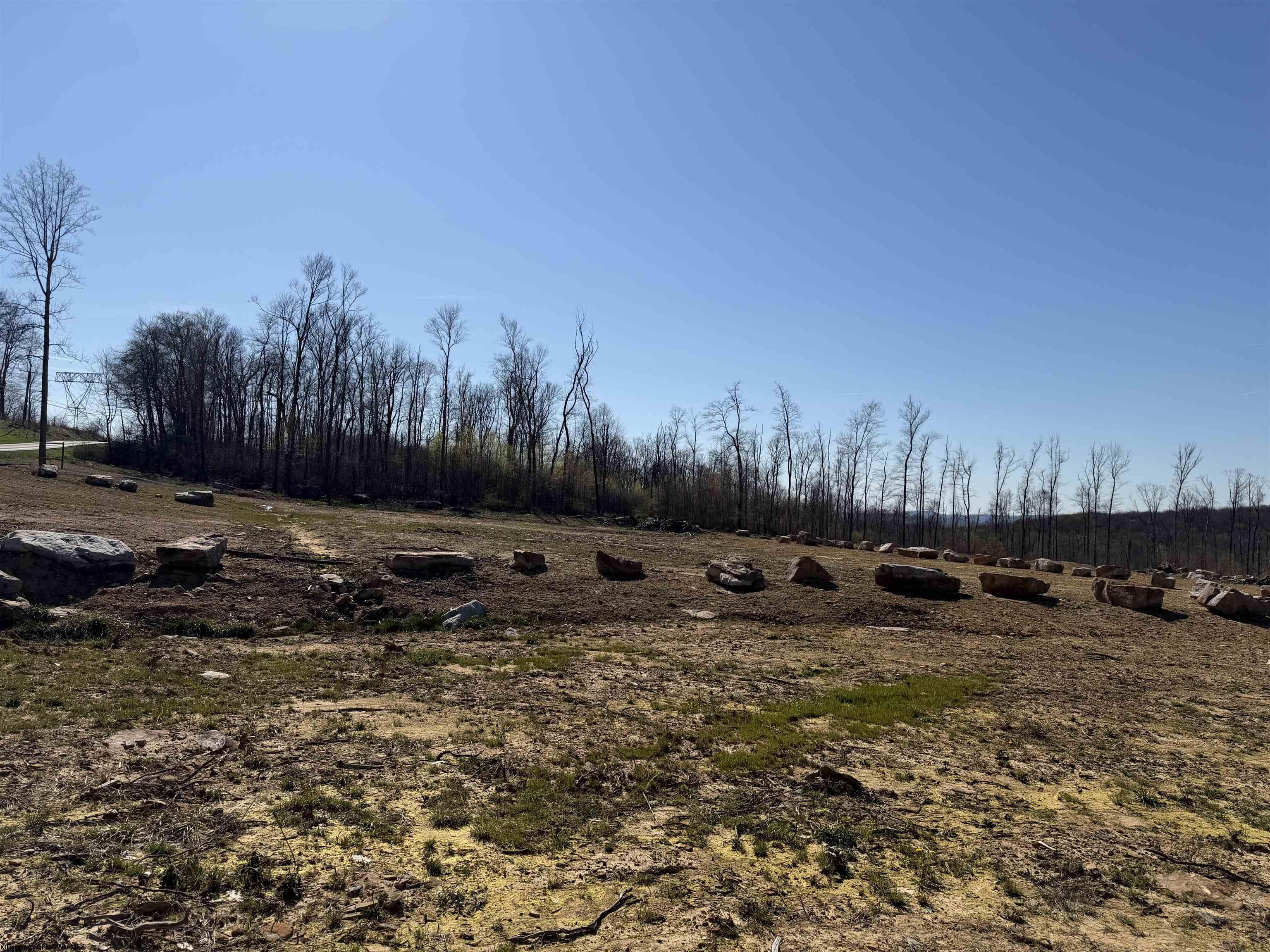 10 Poplar Ridge Bruceton Mills WV 26525
