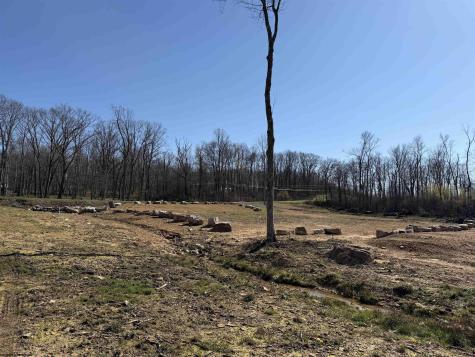 10 Poplar Ridge Bruceton Mills WV 26525