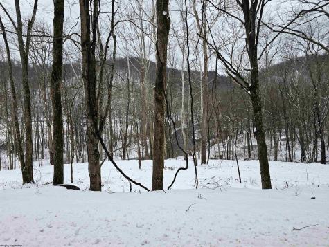 TBD Irontown Road Independence WV 26374