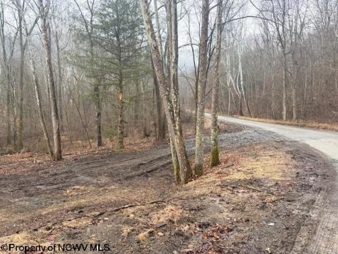 0 Irontown Road Independence WV 26374