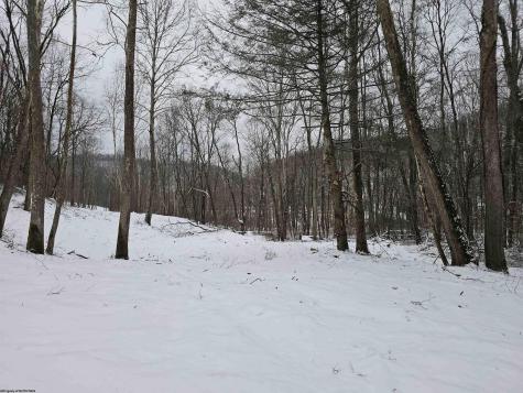 0 Irontown Road Independence WV 26374