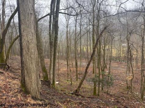 0 Irontown Road Independence WV 26374