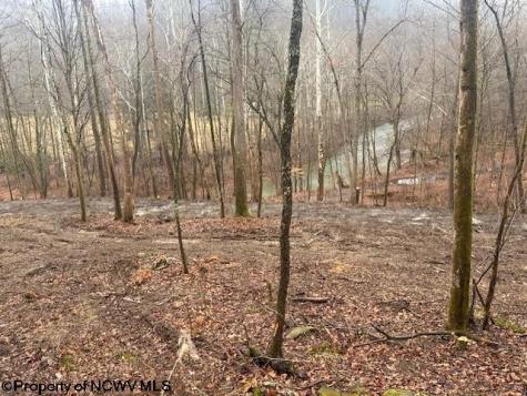 0 Irontown Road Independence WV 26374