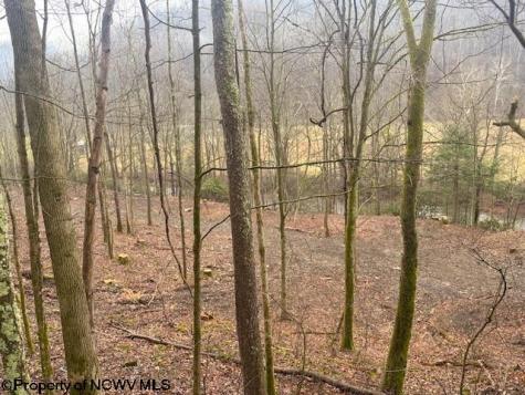 0 Irontown Road Independence WV 26374