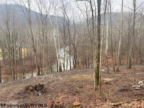 0 Irontown Road Independence WV 26374
