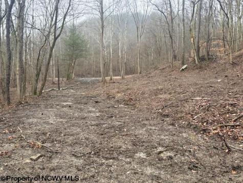 0 Irontown Road Independence WV 26374