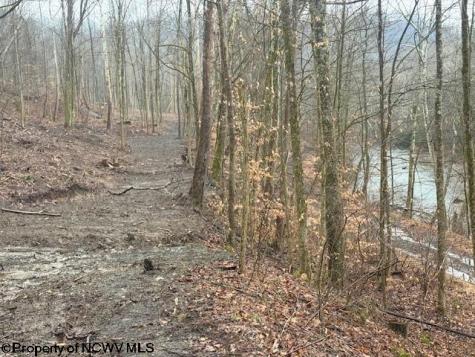 0 Irontown Road Independence WV 26374