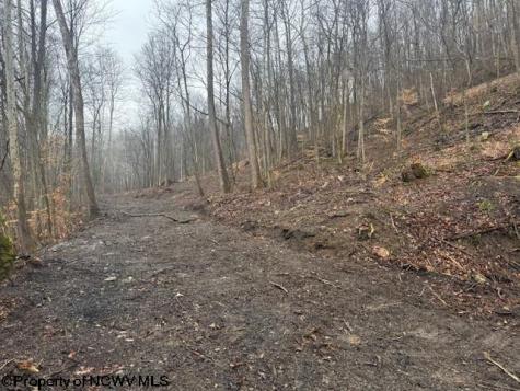 0 Irontown Road Independence WV 26374