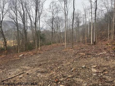 0 Irontown Road Independence WV 26374