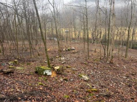 0 Irontown Road Independence WV 26374