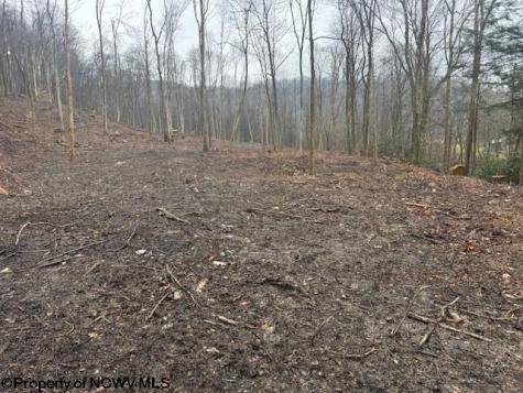 0 Irontown Road Independence WV 26374