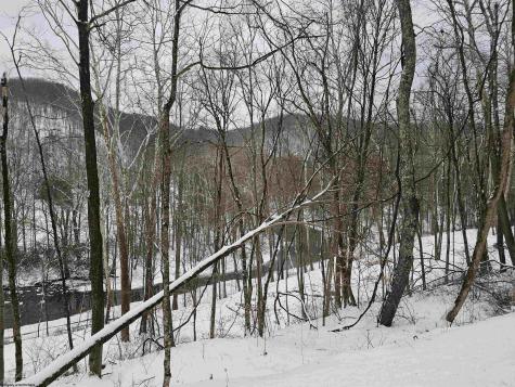 0 Irontown Road Independence WV 26374
