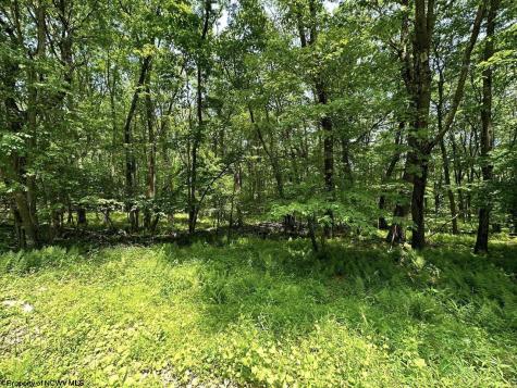 94 East Alpine Drive Terra Alta WV 26764
