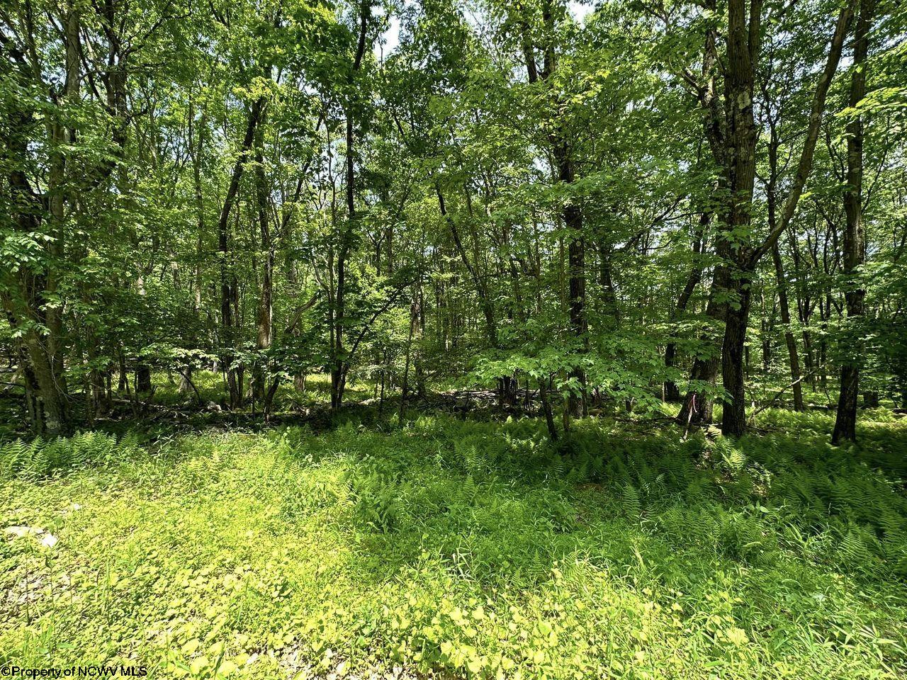 94 East Alpine Drive Terra Alta WV 26764