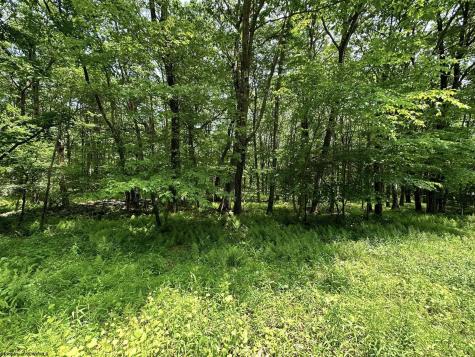 94 East Alpine Drive Terra Alta WV 26764