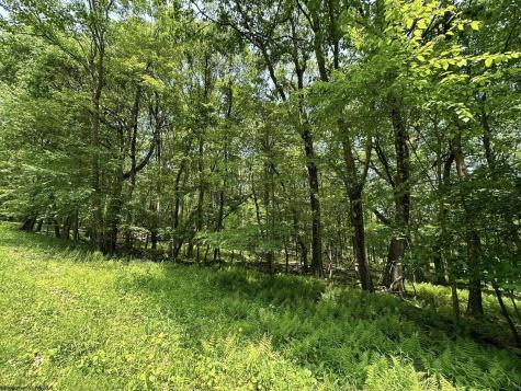 94 East Alpine Drive Terra Alta WV 26764