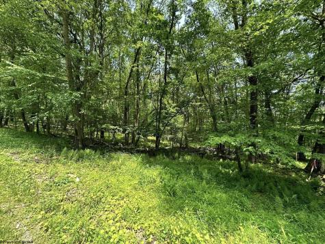 94 East Alpine Drive Terra Alta WV 26764