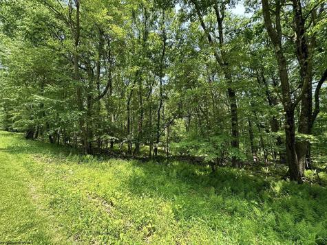 94 East Alpine Drive Terra Alta WV 26764