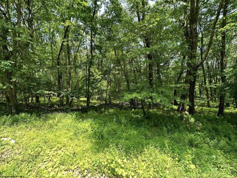 94 East Alpine Drive Terra Alta WV 26764