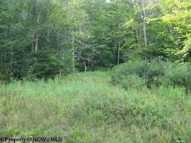 3 Northlake Drive Davis WV 26260-0000