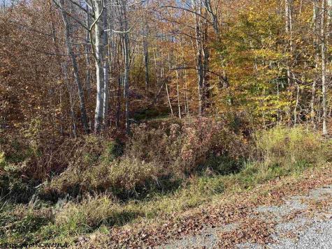 3 Northlake Drive Davis WV 26260-0000