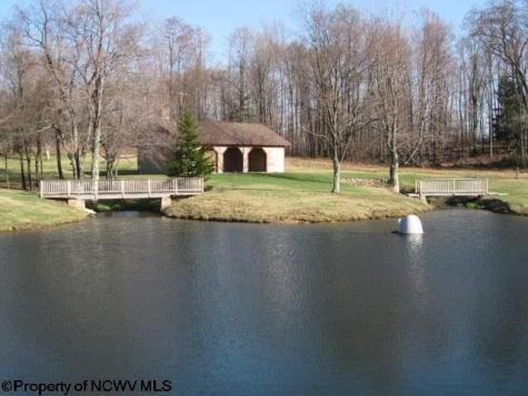 3 Northlake Drive Davis WV 26260-0000