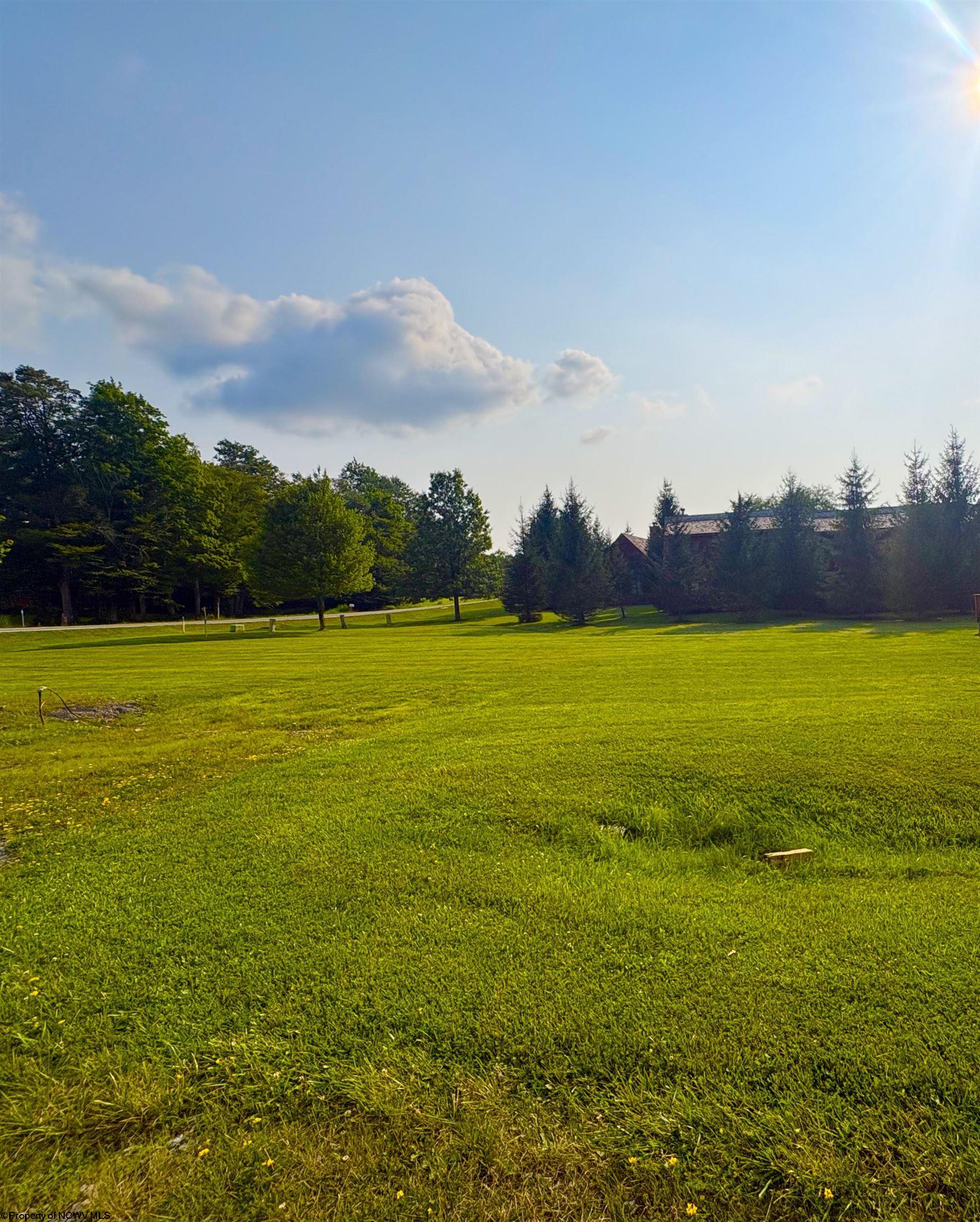 41 Penny Lane Davis WV 26260