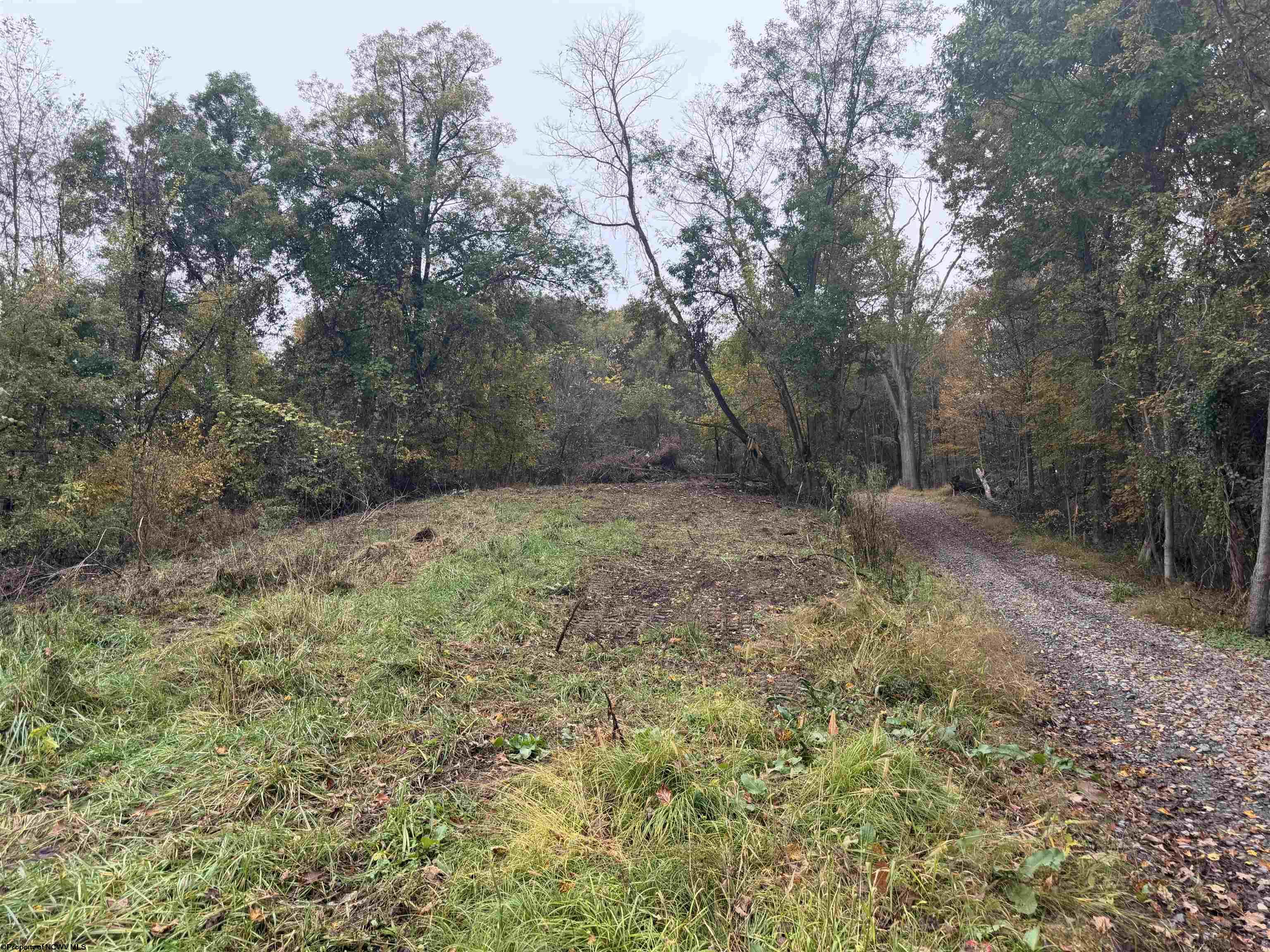 258 Bessie Ann Hill Road Farmington WV 26571