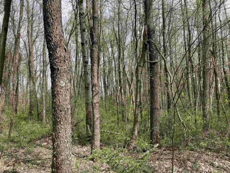 28 Hobbits Glenn Estates Masontown WV 26542