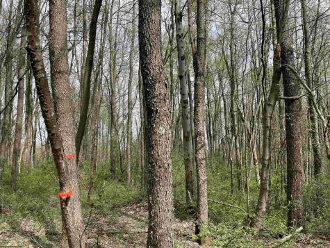 28 Hobbits Glenn Estates Masontown WV 26542