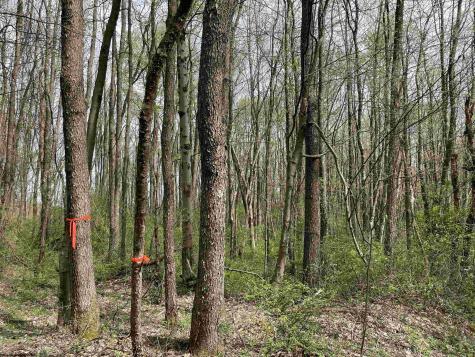 28 Hobbits Glenn Estates Masontown WV 26542