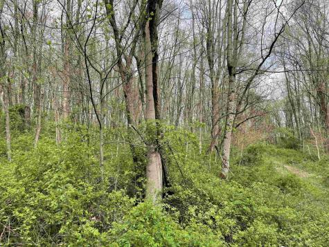 28 Hobbits Glenn Estates Masontown WV 26542