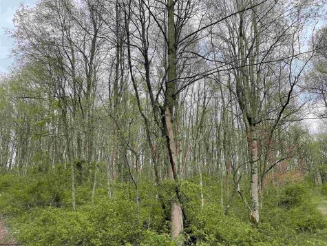 28 Hobbits Glenn Estates Masontown WV 26542