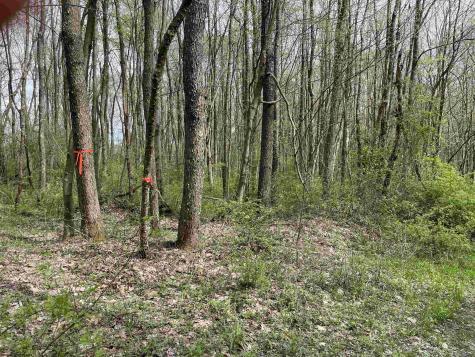 28 Hobbits Glenn Estates Masontown WV 26542