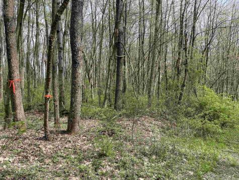 28 Hobbits Glenn Estates Masontown WV 26542