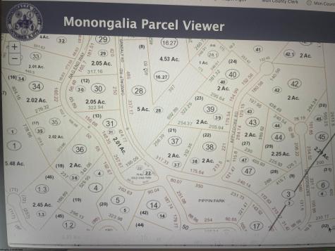 28 Hobbits Glenn Estates Masontown WV 26542