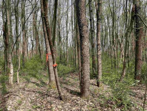 28 Hobbits Glenn Estates Masontown WV 26542