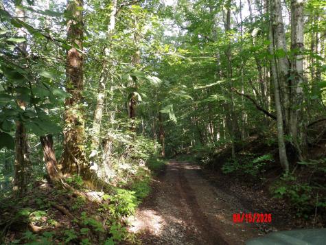 941 Sammy Run Crawford WV 26447