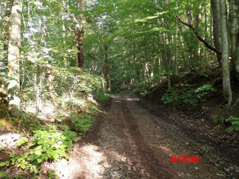 941 Sammy Run Crawford WV 26447