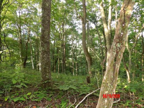 941 Sammy Run Crawford WV 26447