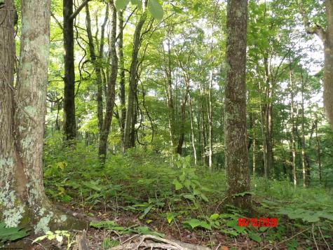 941 Sammy Run Crawford WV 26447