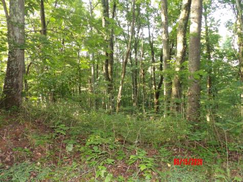 941 Sammy Run Crawford WV 26447