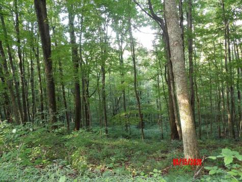 941 Sammy Run Crawford WV 26447